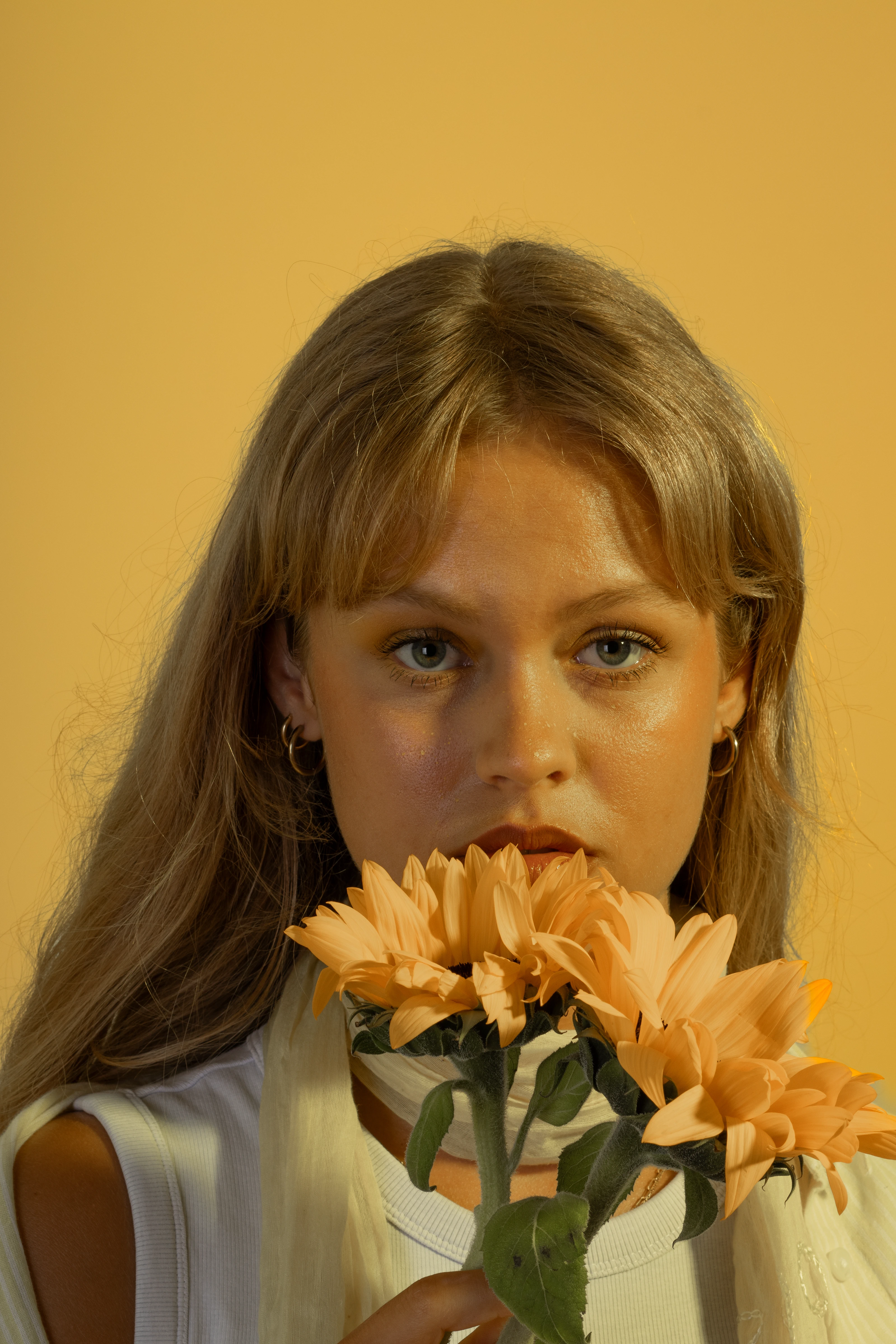 Yellow project cover
