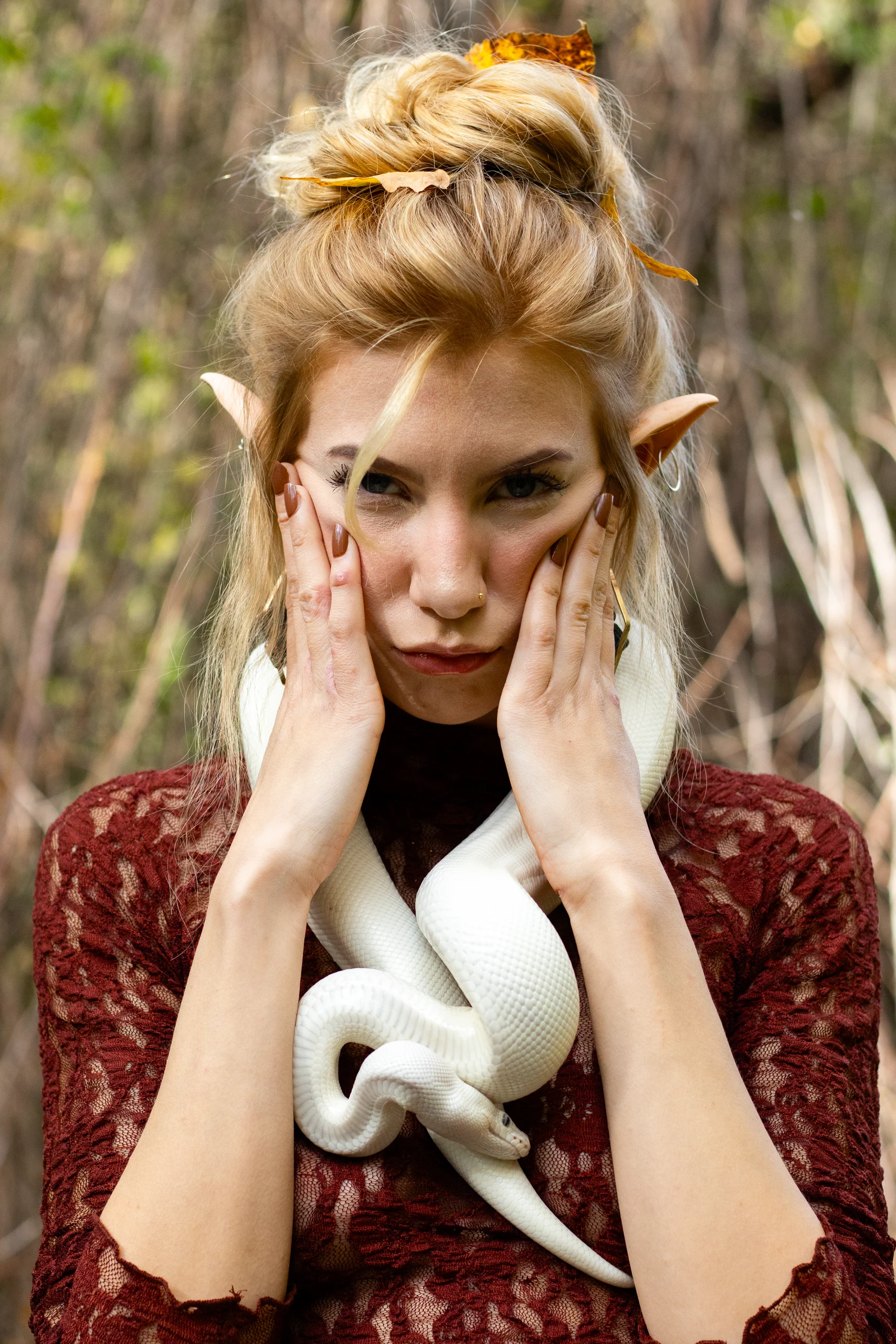 Photograph 8 from Pyth