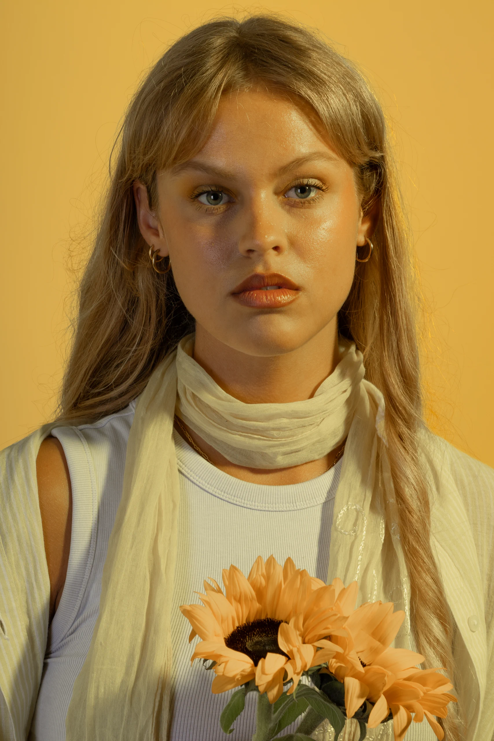 Photograph 6 from Yellow