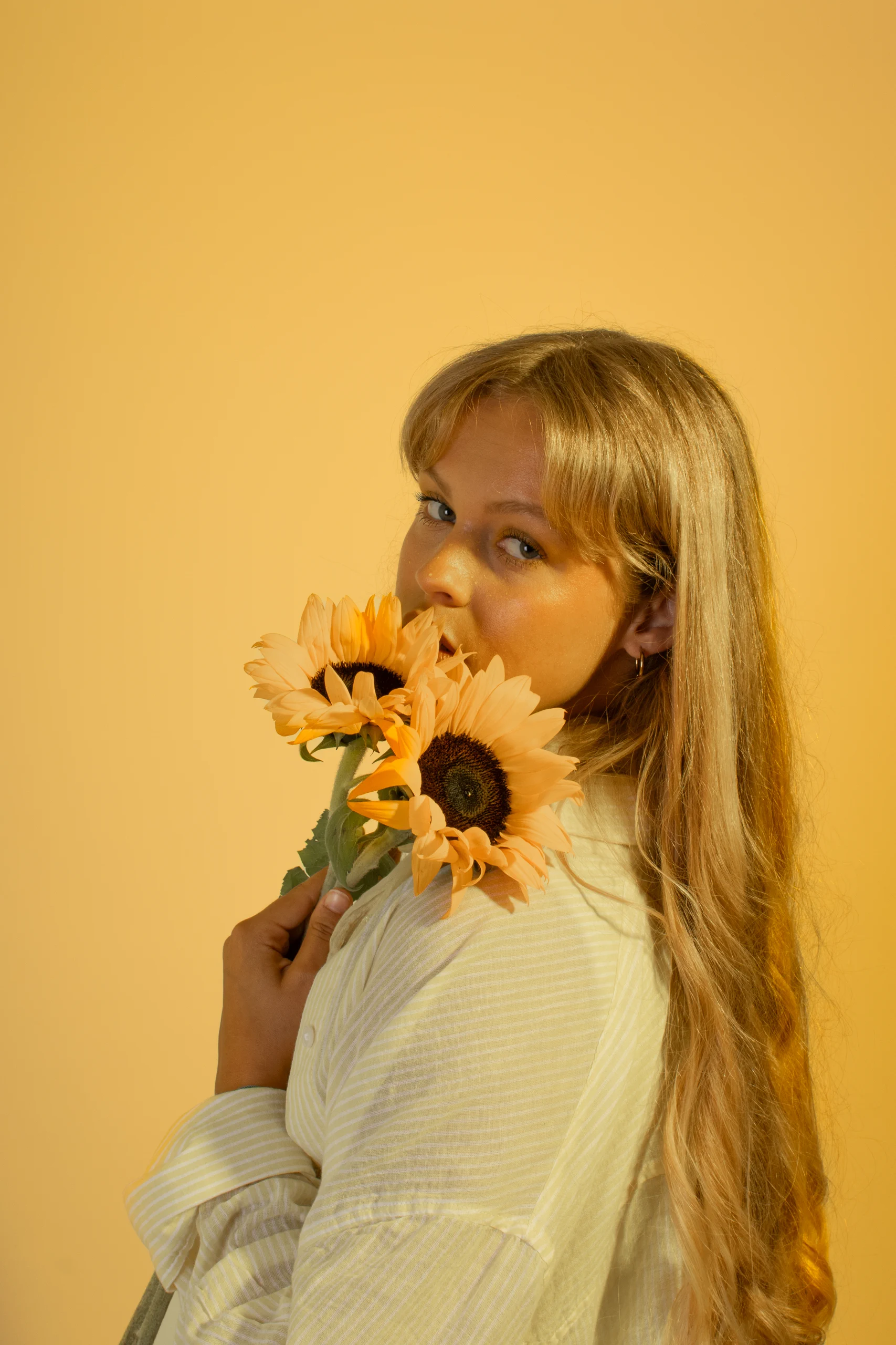 Photograph 9 from Yellow